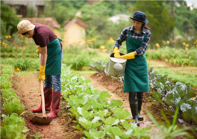 Agriculture